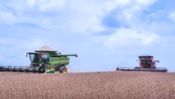 Com agronegócio, Roraima lidera crescimento do PIB no Brasil