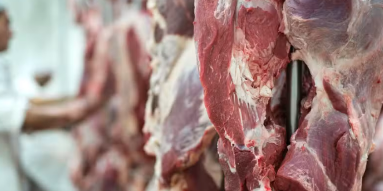 Crescimento das Exportações Brasileiras De Carne Bovina Em Março
