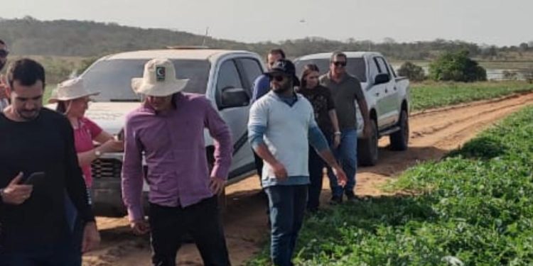PARCERIA ESTRATÉGICA Aderr recebe visita técnica de Santa Catarina e é reconhecida por excelência em programas de defesa vegetal