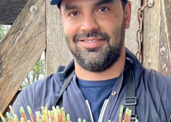 Biotecnologia impulsiona reprodução animal e produtividade na pecuária de Roraima