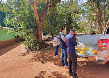 AÇÃO INTEGRADA Governo de Roraima inicia força-tarefa contra mosca-da-carambola em Boa Vista