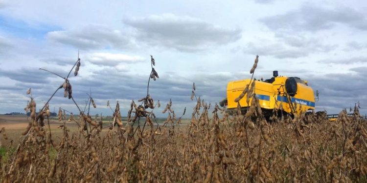 VALOR BRUTO DA PRODUÇÃO AGROPECUÁRIA DEVE ATINGIR R$ 1,39 TRI EM 2026