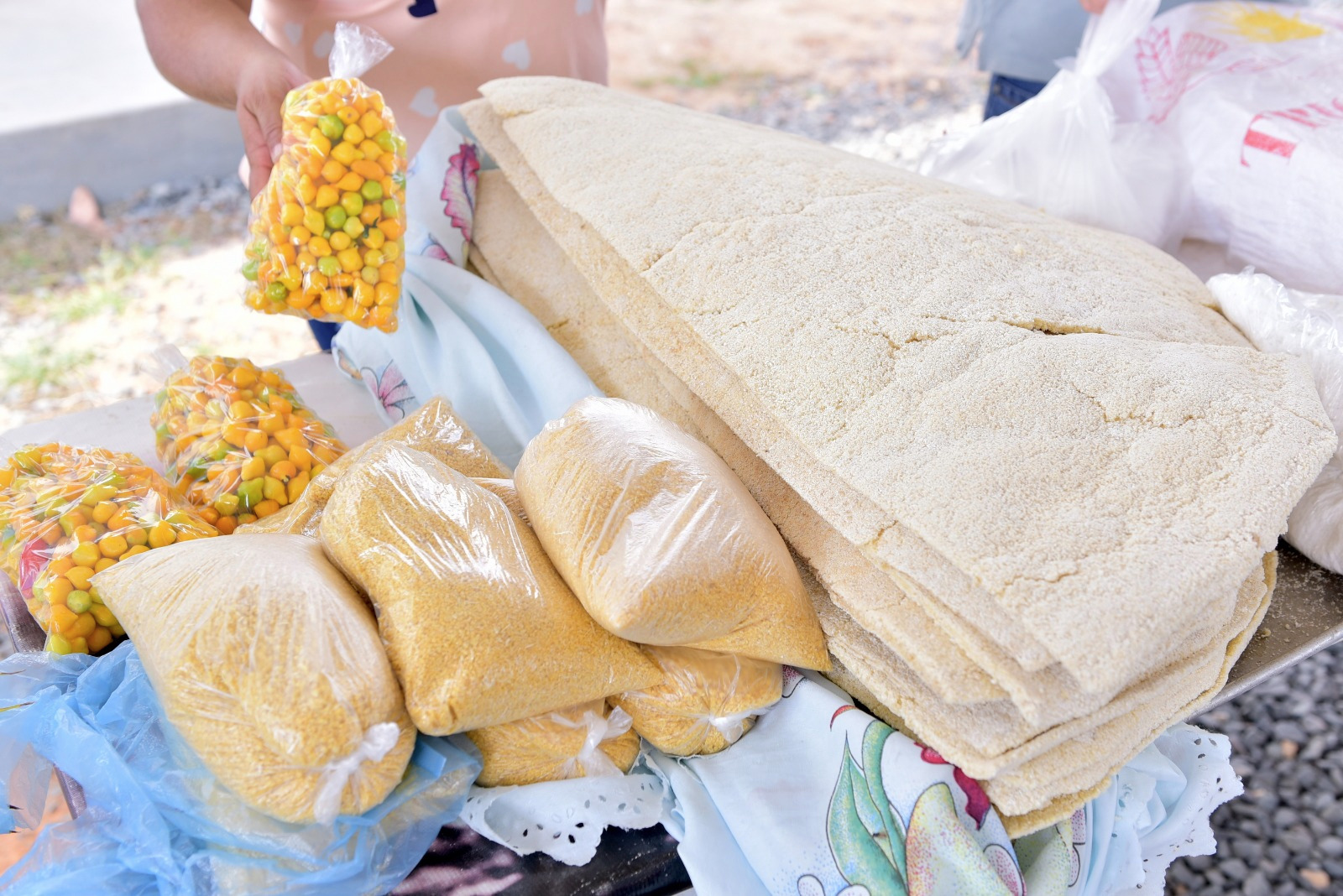 Grao Familiar em Campo Secom RR 4