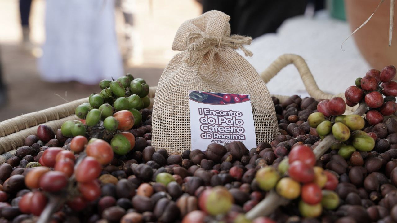 Grao Familiar em Campo Secom RR 7