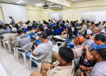 ASSISTÊNCIA TÉCNICA Iater promove curso de imersão para técnicos agrícolas aprimorarem atuação em campo
