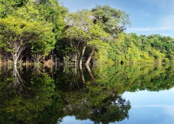 COMUNICAÇÃO Concurso Dom Phillips e Bruno Pereira é uma resposta de reparação e defesa da Amazônia