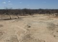 Combate à desertificação avança, mas Brasil precisa priorizar o assunto